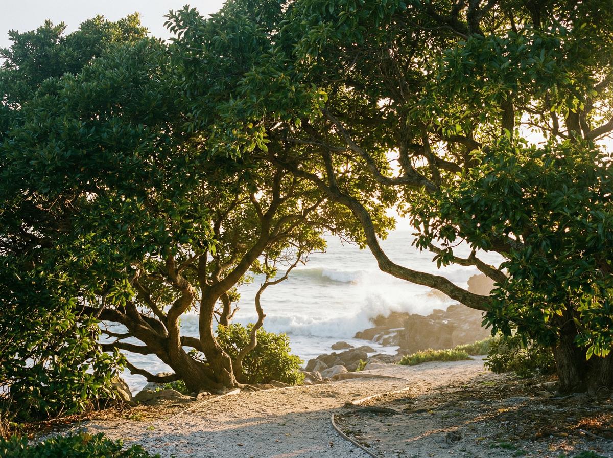 呦呦视频精选樟树视频